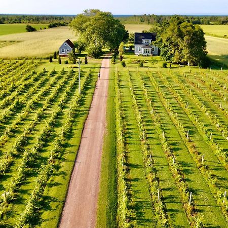 Sunbury Cove Winery Bed & Breakfast Miscouche Eksteriør bilde