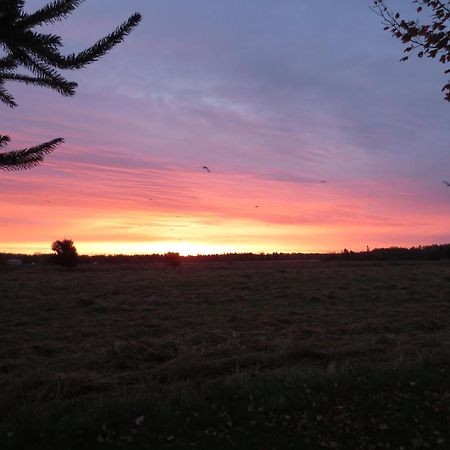Sunbury Cove Winery Bed & Breakfast Miscouche Eksteriør bilde