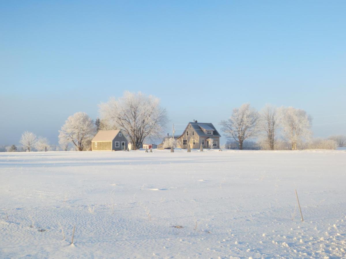 Sunbury Cove Winery Bed & Breakfast Miscouche Eksteriør bilde